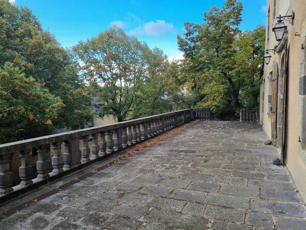 Châteaux, domaine à vendre antoingt, auvergne, AP03007945 Image - 14