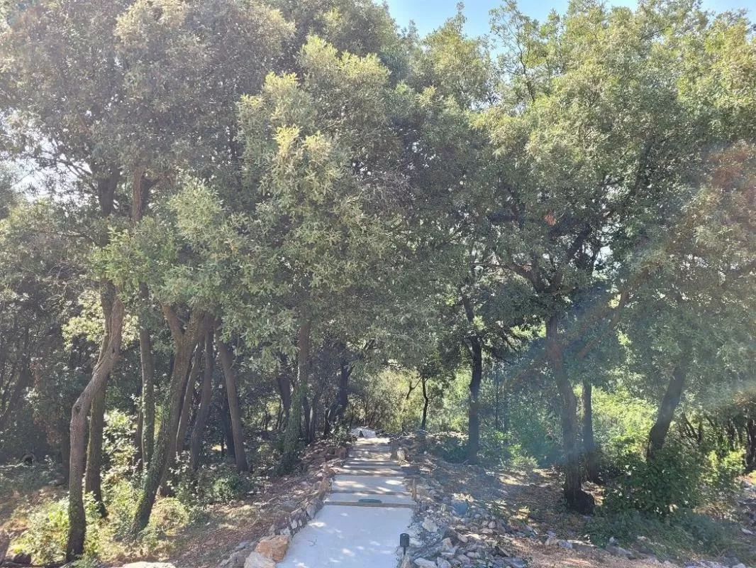 Maison à vendre faugeres, rhône-alpes, EG11-2546 Image - 6