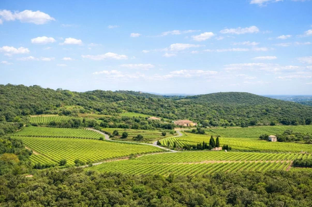 Maison à vendre faugeres, rhône-alpes, EG11-2546 Image - 9