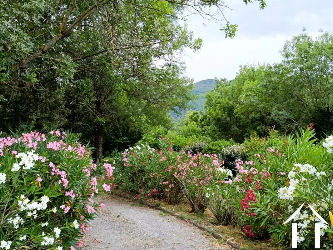 Maison à vendre colombieres sur orb, languedoc-roussillon, EG11-2562 Image - 3
