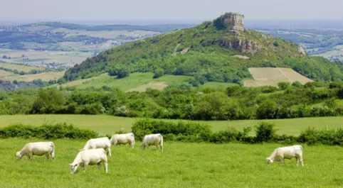 Acheter une propriété de rêve dans la Bourgogne du Sud