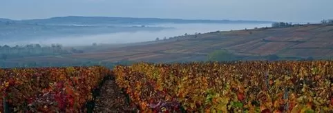 Vendre ou acheter à Beaune immobilier