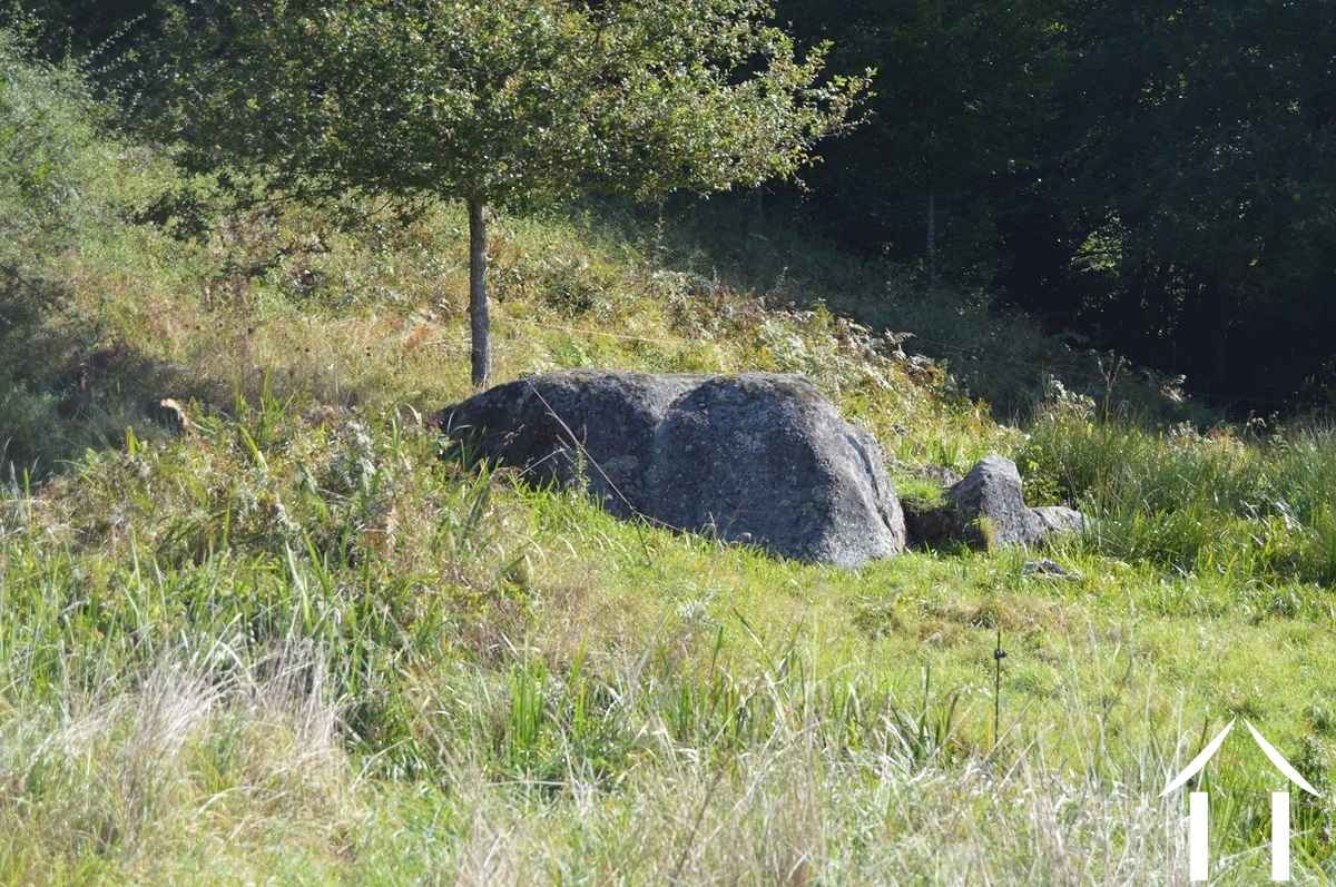 Propriété 1 hectare ++ à vendre tazilly, bourgogne, RP5275M Image - 28