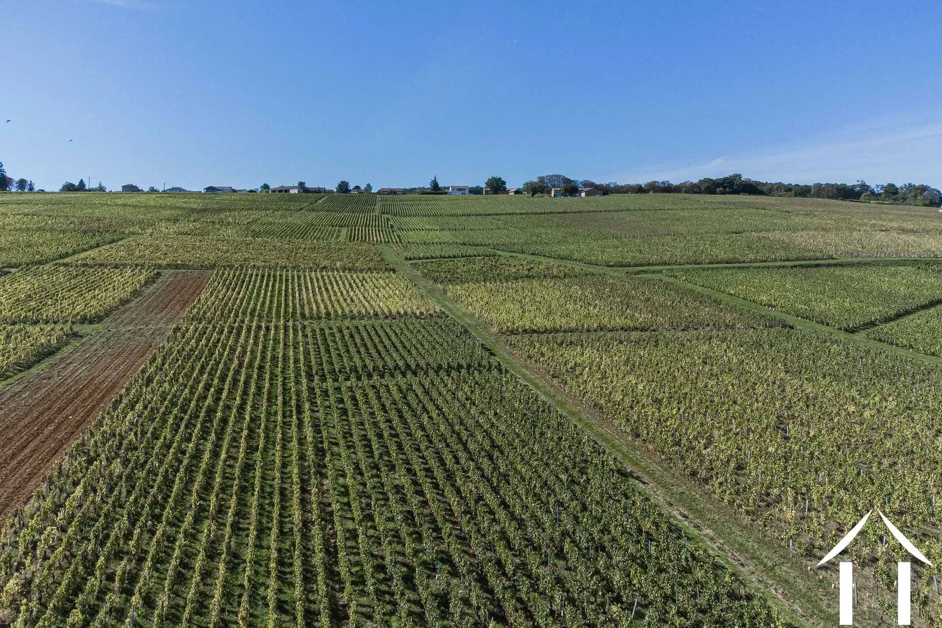 Châteaux, domaine à vendre macon, bourgogne, JP5262S Image - 20