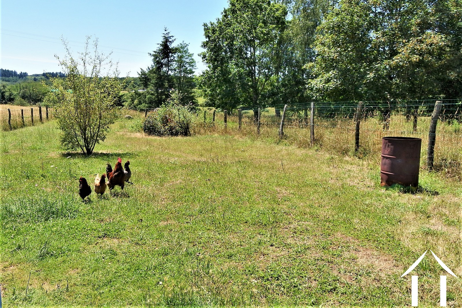 Propriété 1 hectare ++ à vendre st martin de salencey, bourgogne, JP5345S Image - 8