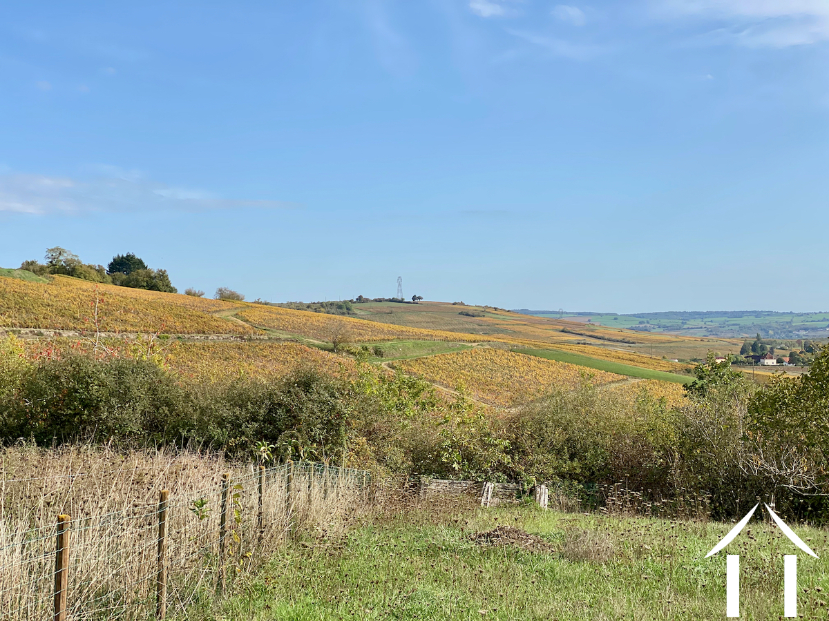 Les coteaux de vignes vus du balcon