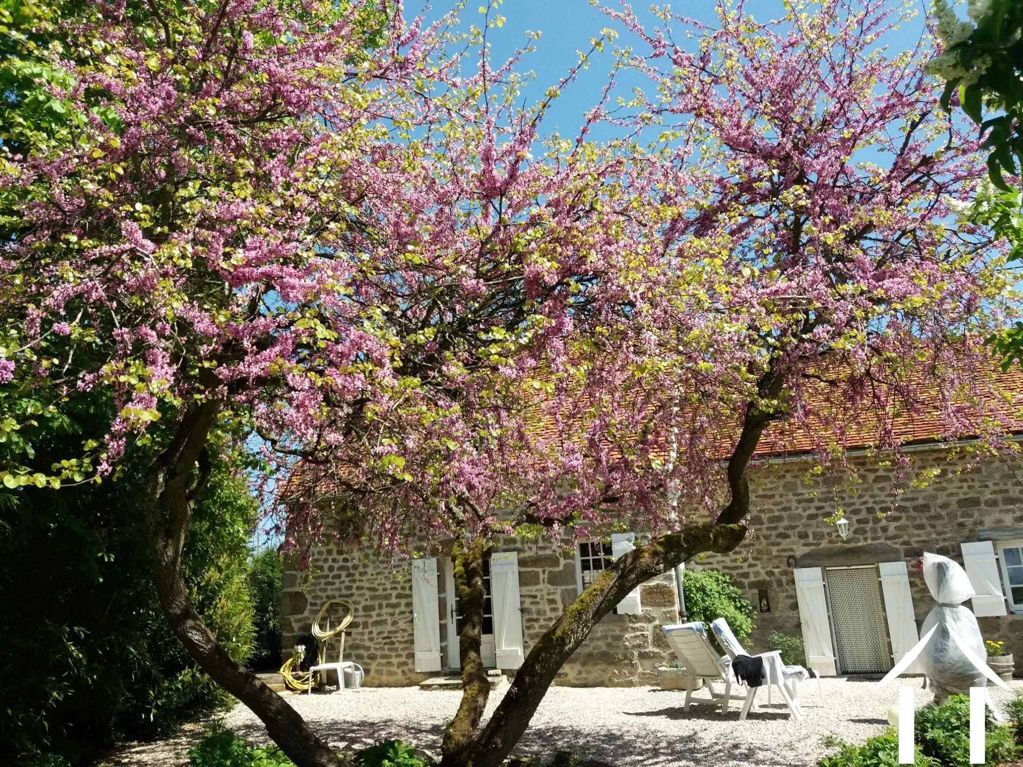 Beaux arbres