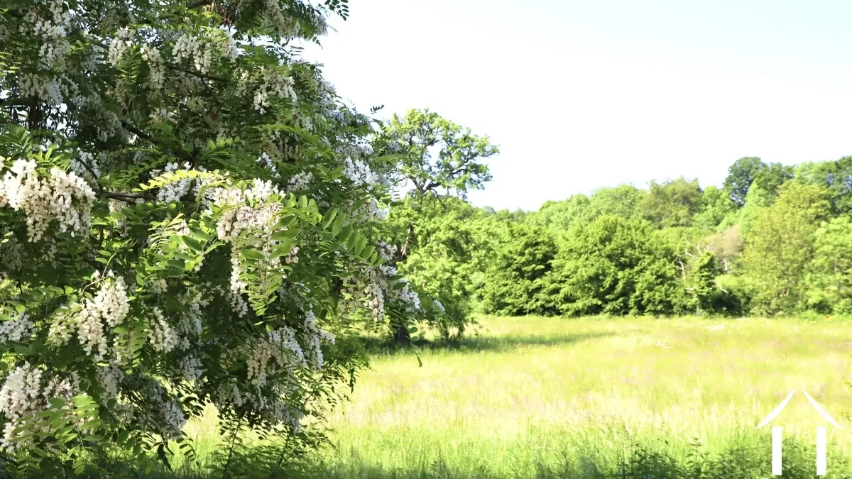 Maison en pierre à vendre st saulge, bourgogne, CvH5515M Image - 6