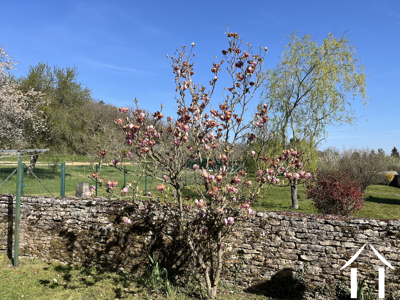 Maison à vendre noyers, bourgogne, bh5582H Image - 11