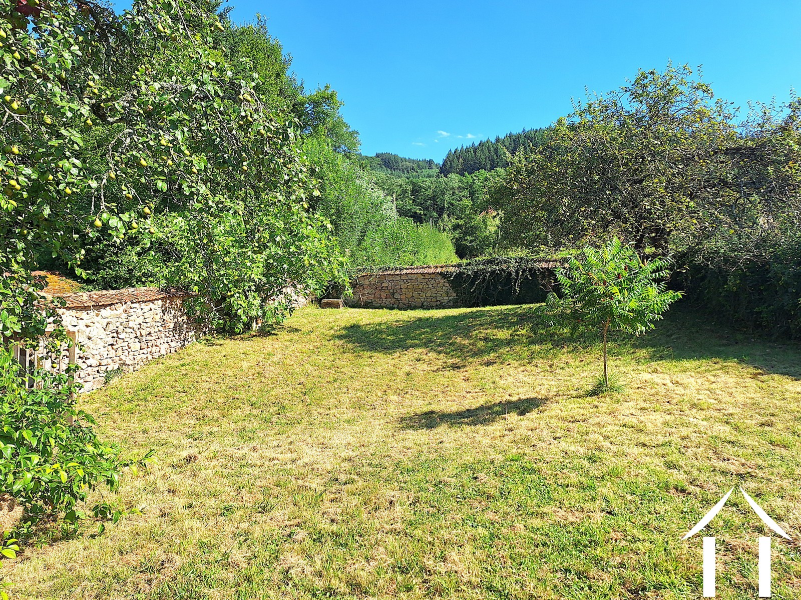 Maison à vendre montmelard, bourgogne, JDP5589S Image - 35