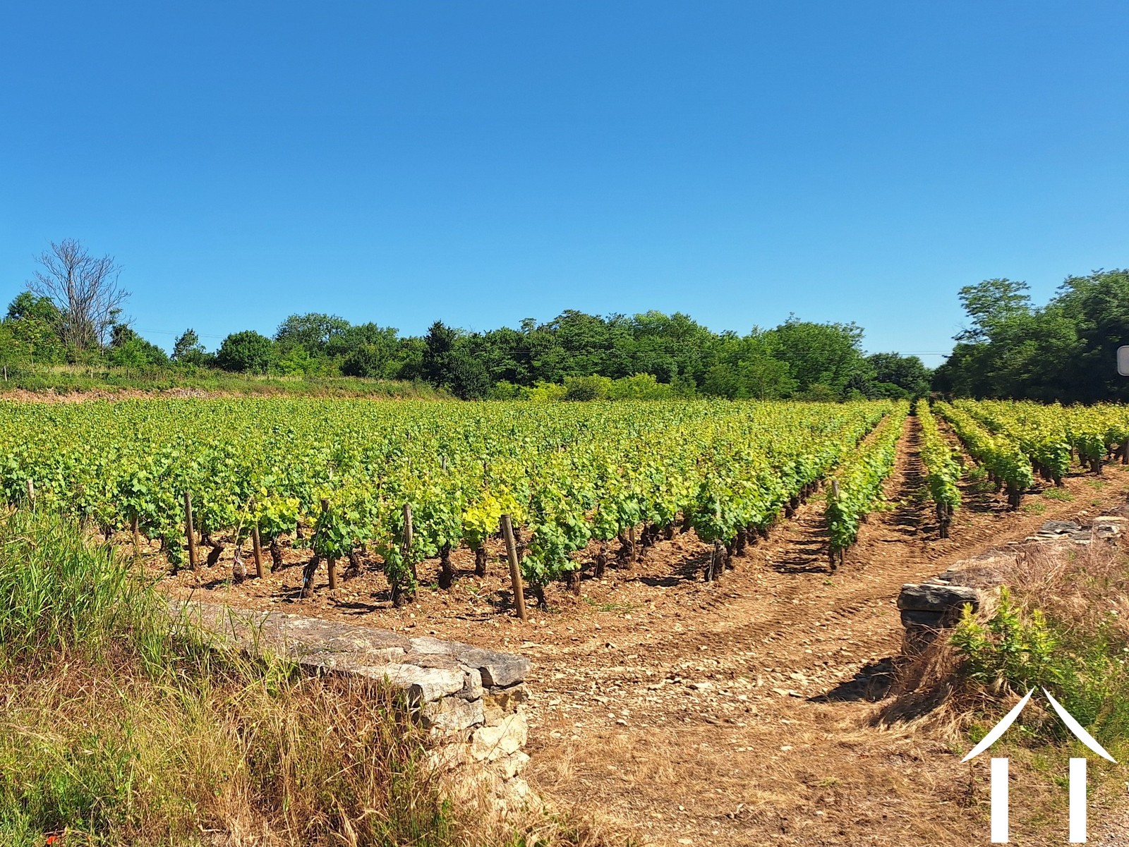 Maison à vendre chagny, bourgogne, JDP5598S Image - 35