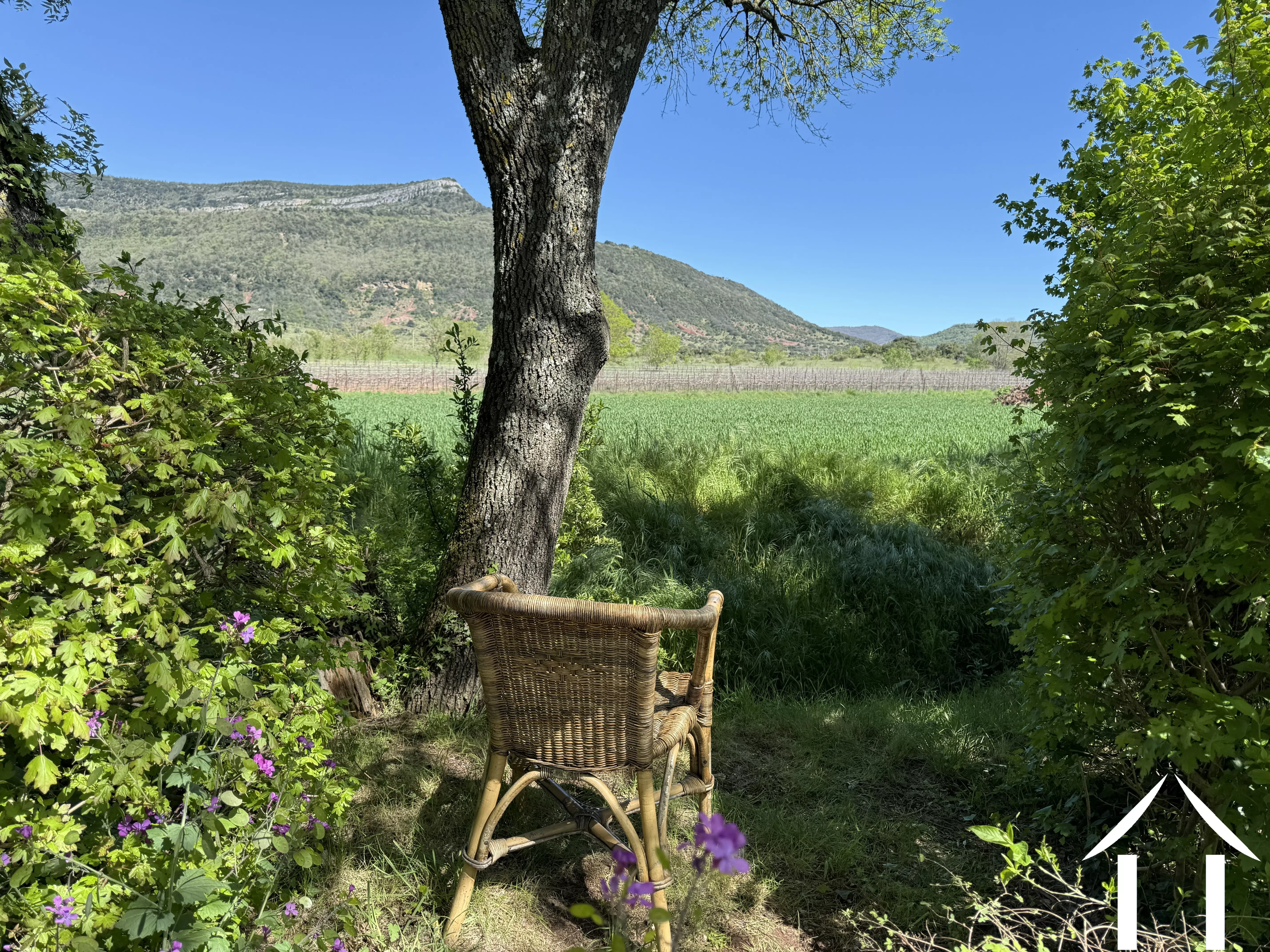 Maison à vendre la tour sur orb, languedoc-roussillon, 11-2520 Image - 2