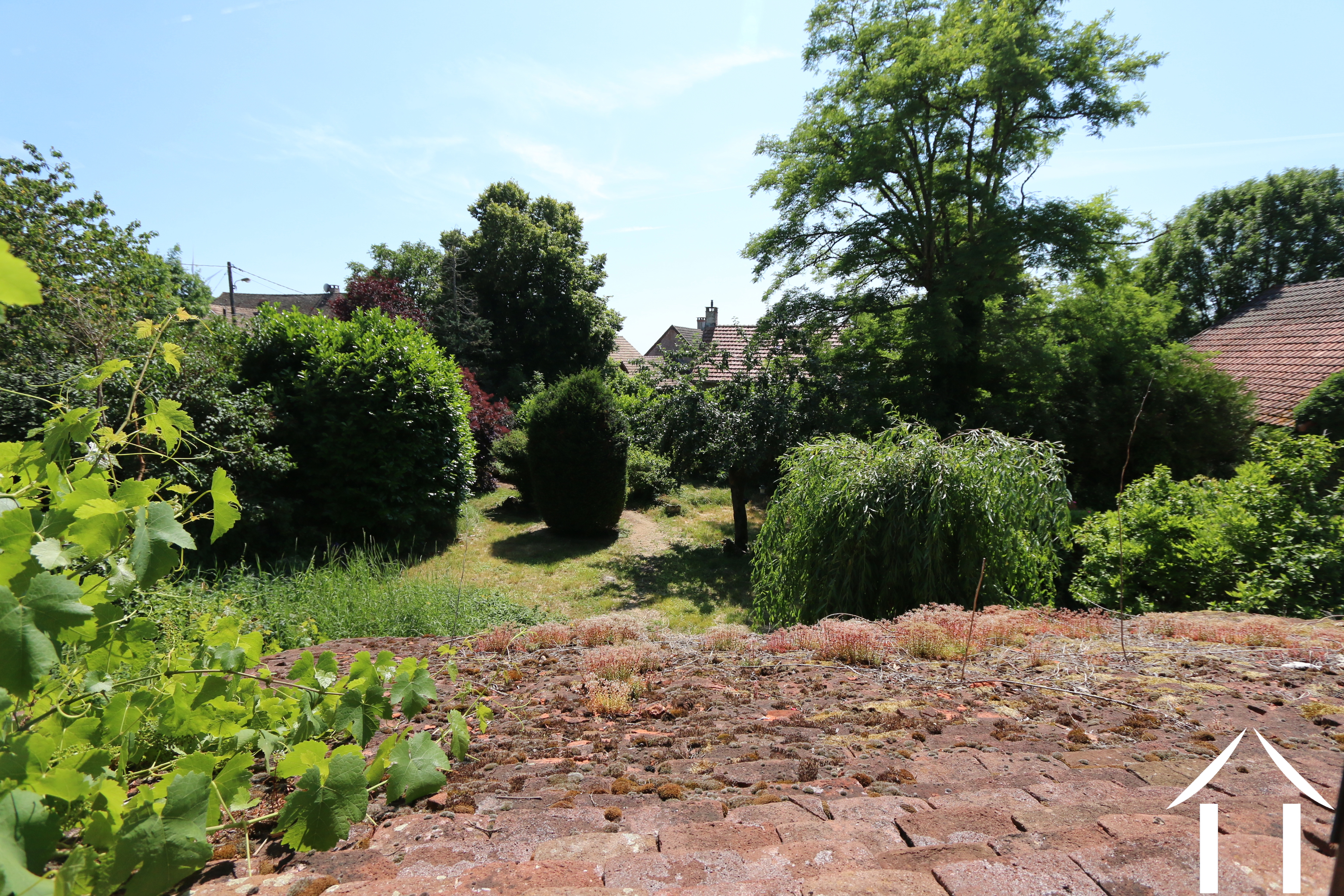 Vue depuis la cuisine