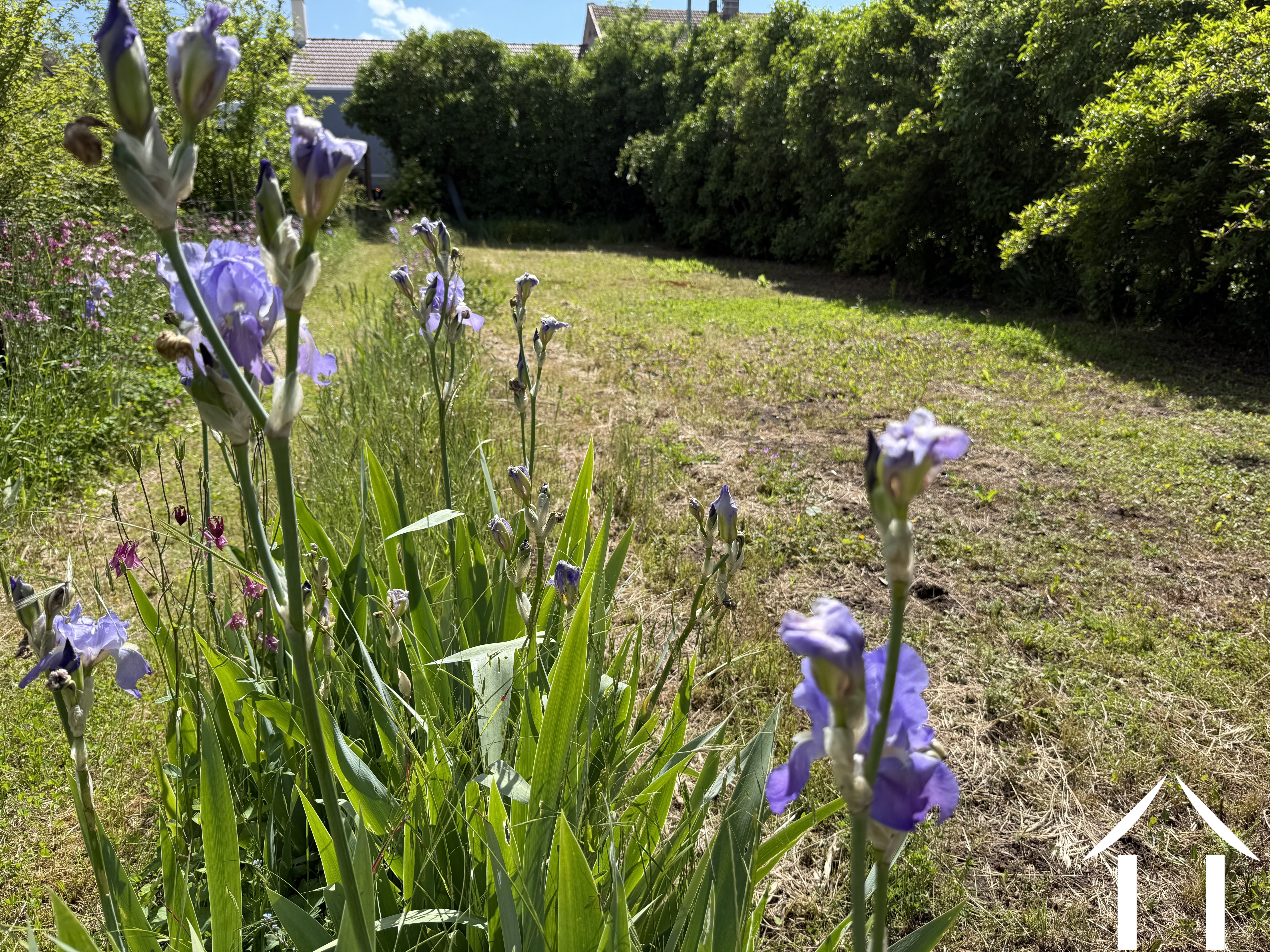 Beautiful Orchard of more than 500 Square Meters