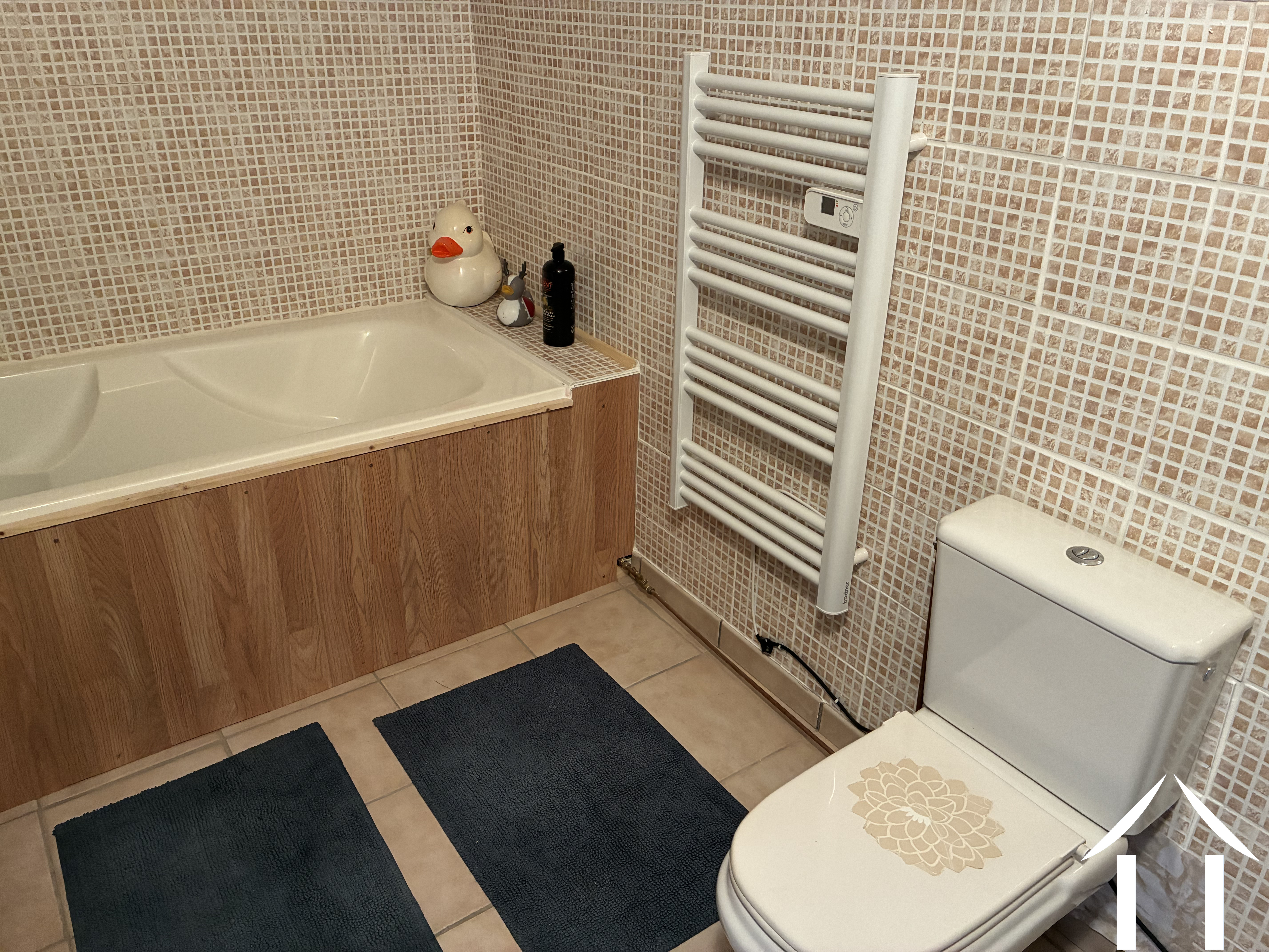 Maison à vendre mont et marre, bourgogne, CvH5616L Image - 13