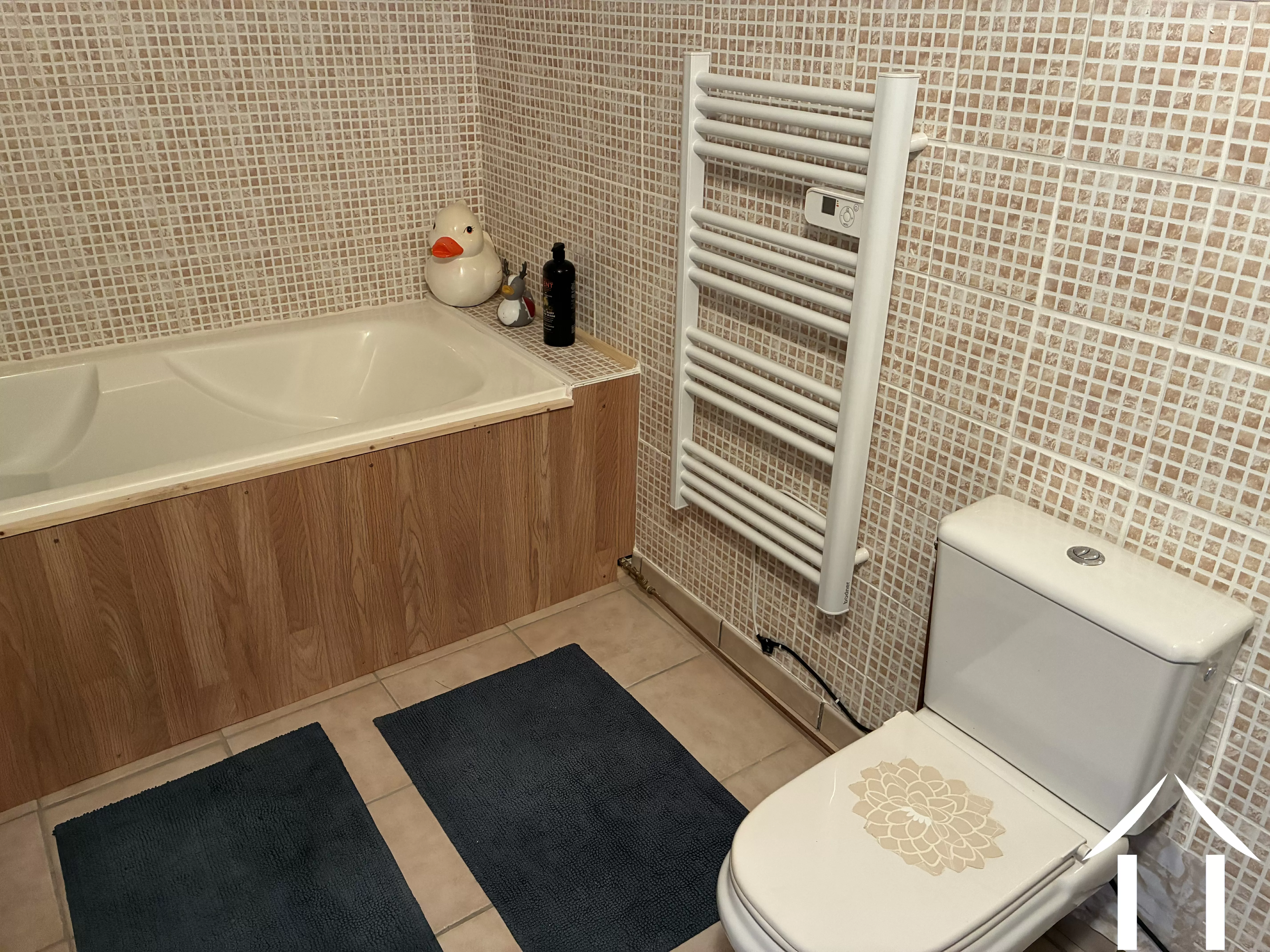 Maison à vendre mont et marre, bourgogne, CvH5616L Image - 13
