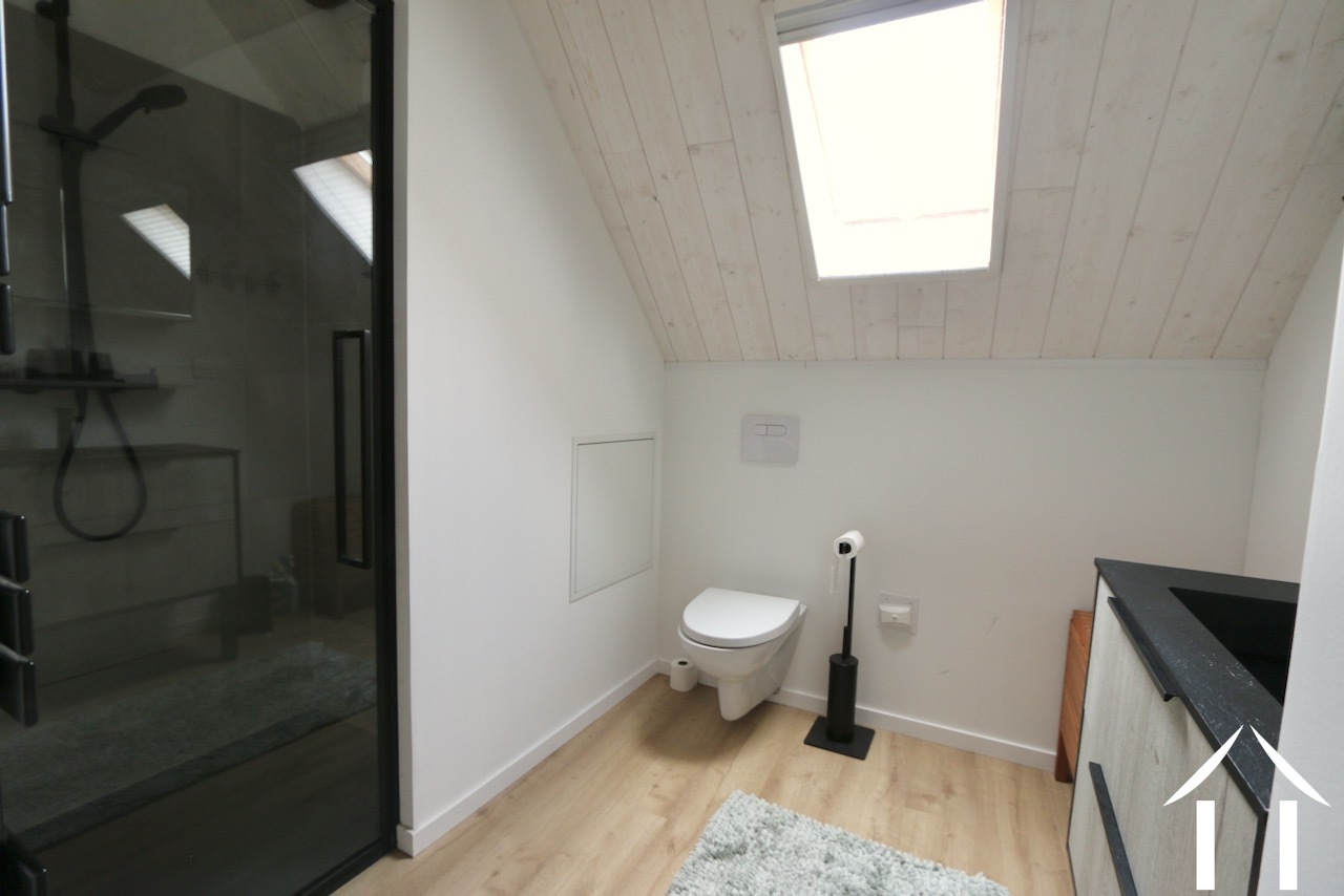 Salle d'eau avec toilettes