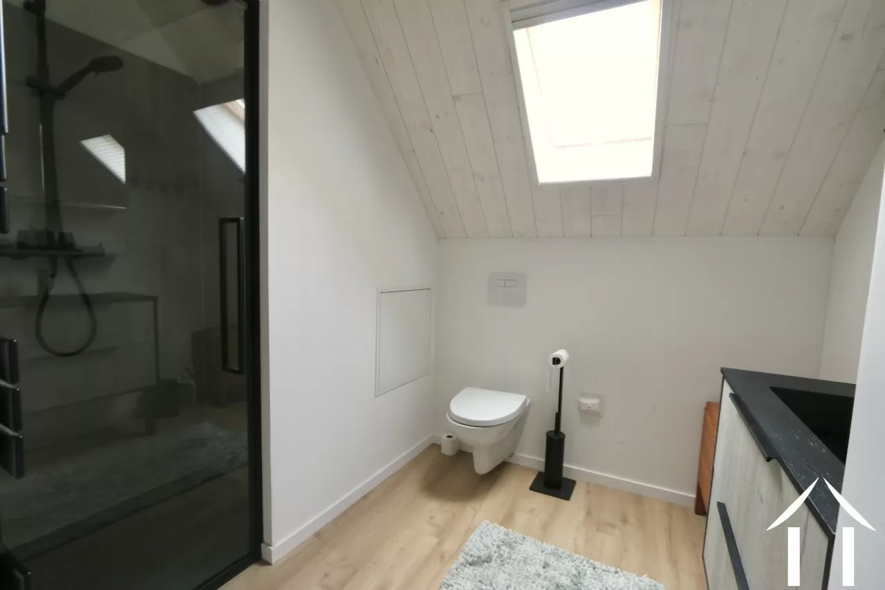 Salle d'eau avec toilettes