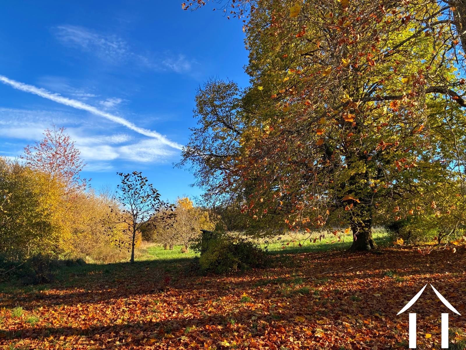 Maison à vendre montsauche les settons, bourgogne, cvh5635 Image - 4