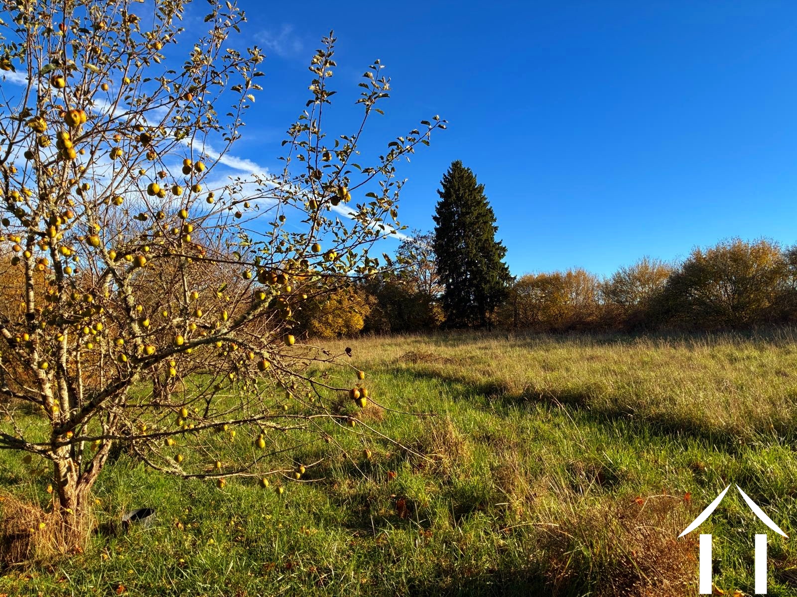 Maison à vendre montsauche les settons, bourgogne, cvh5635 Image - 12