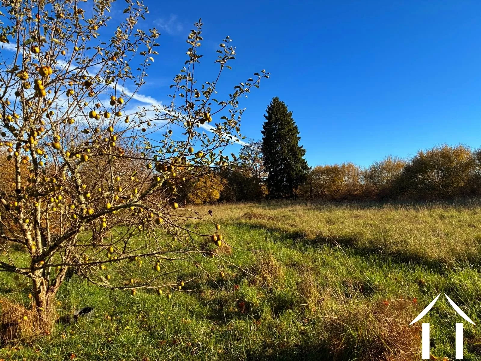 Maison à vendre montsauche les settons, bourgogne, cvh5635 Image - 12