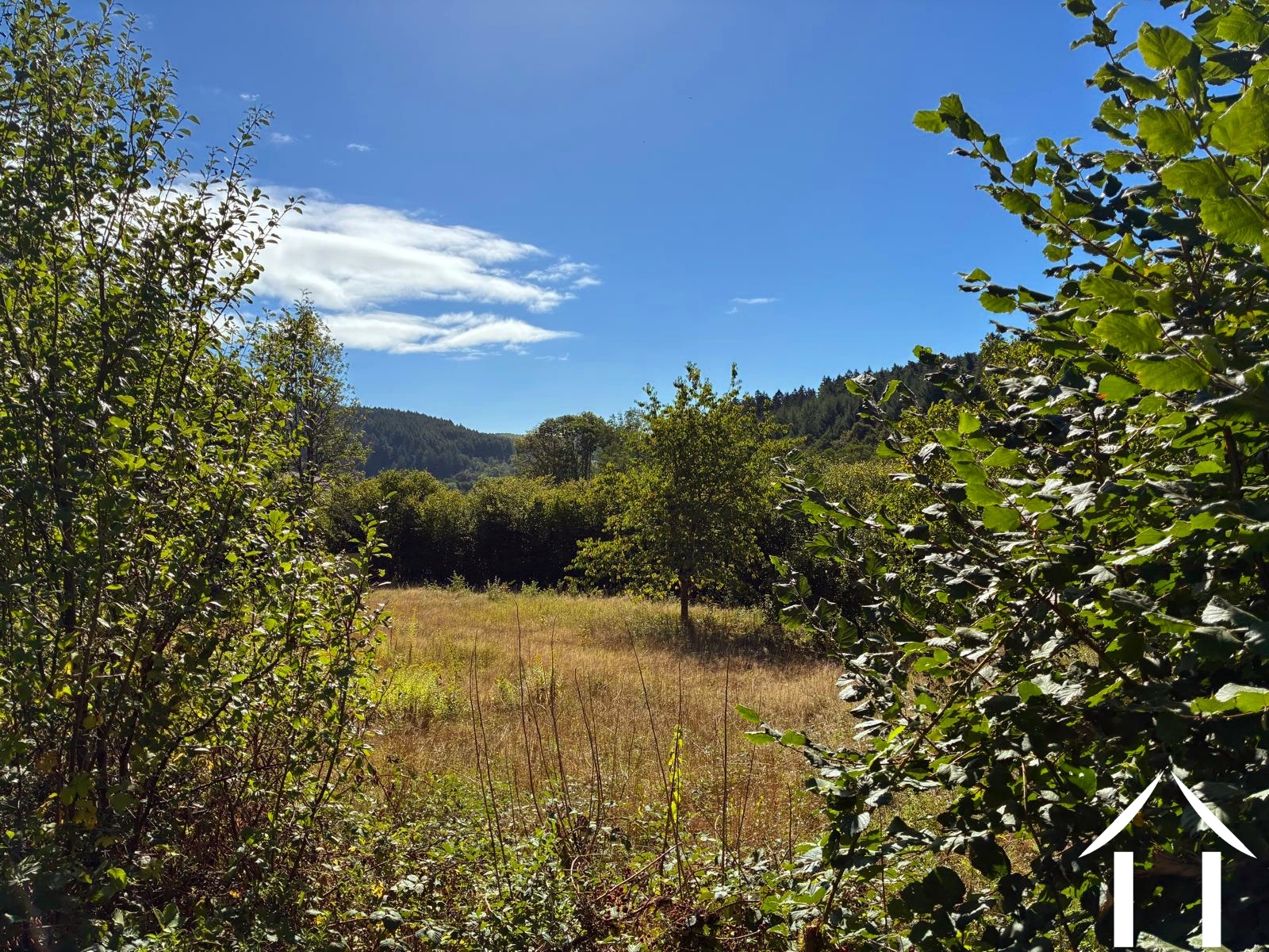 Maison à vendre anost, bourgogne, cvh5633 Image - 4