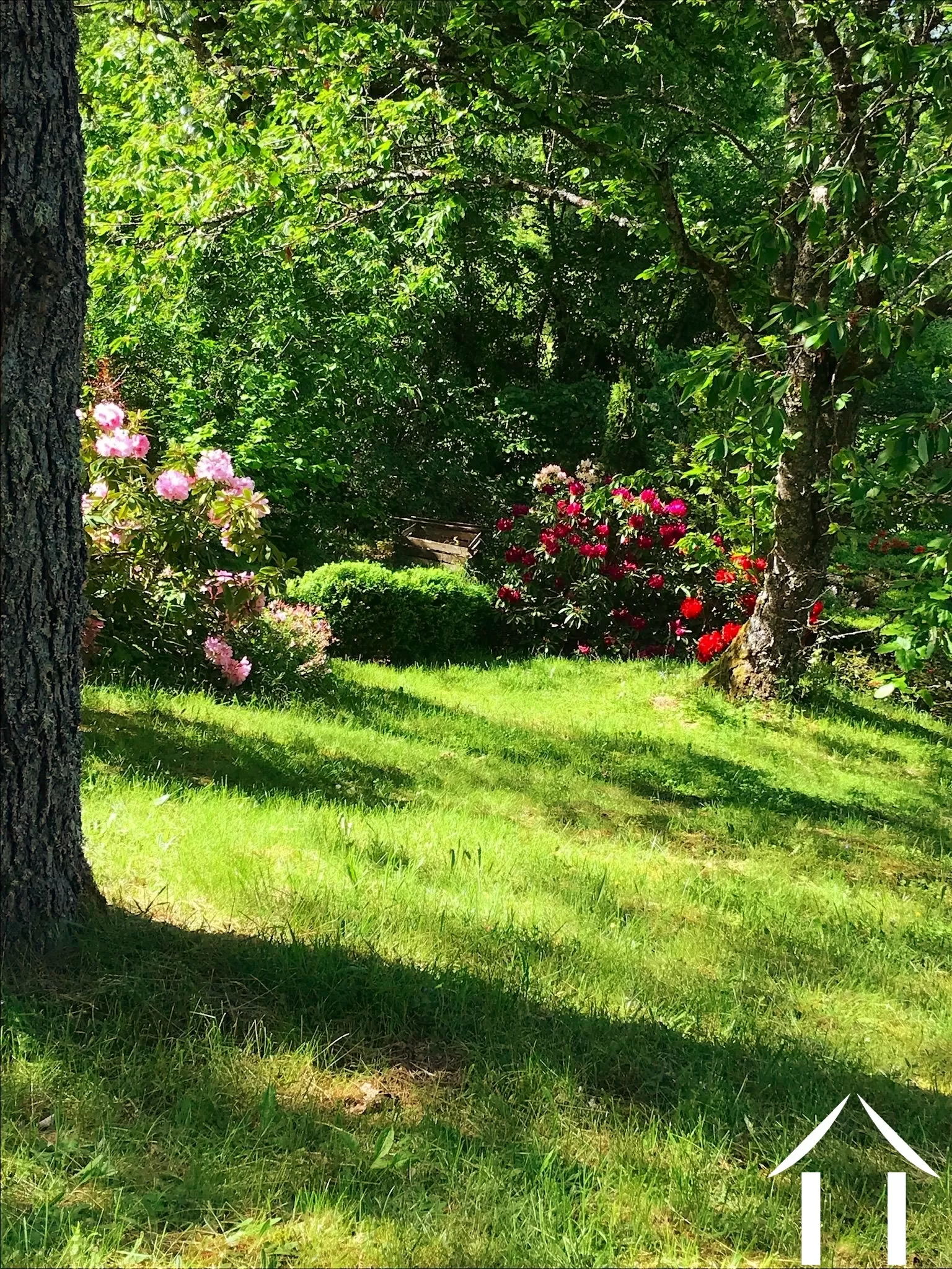 Maison à vendre cussy en morvan, bourgogne, cvh5641 Image - 6
