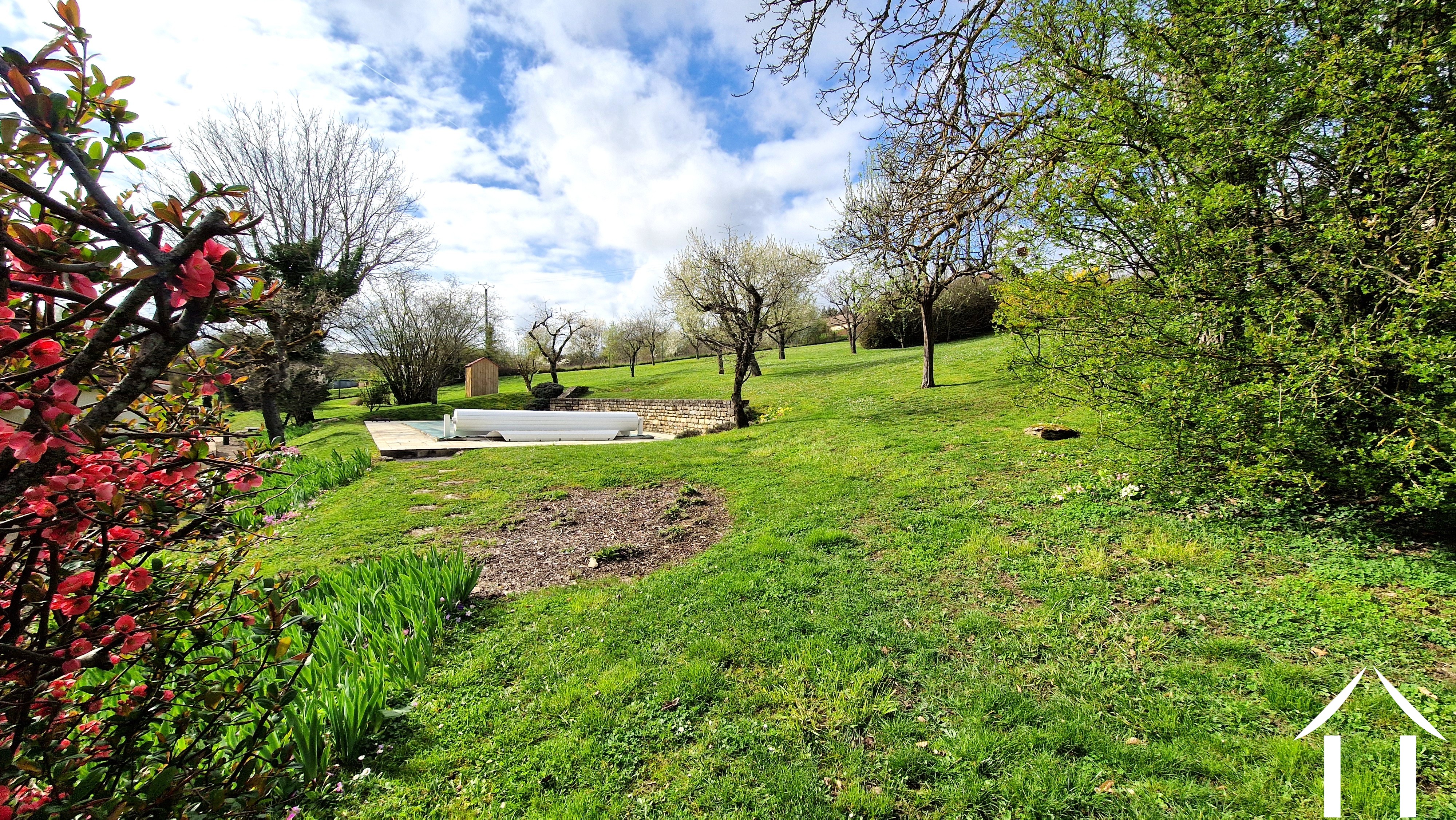 Jardin arrière avec piscine