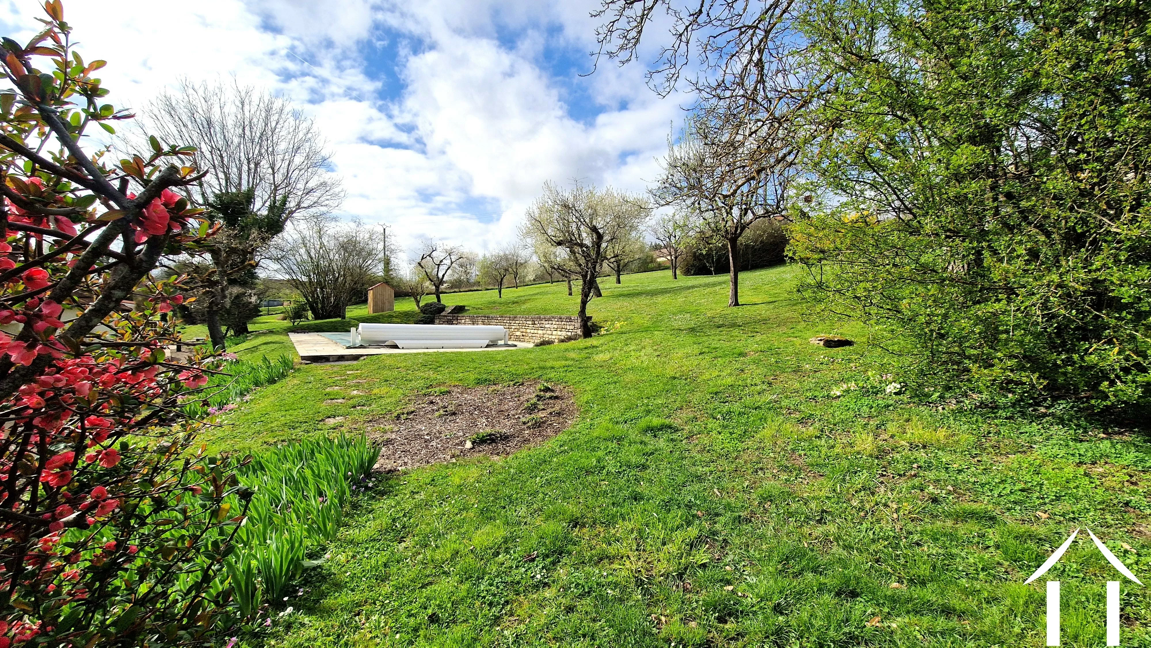 Jardin arrière avec piscine