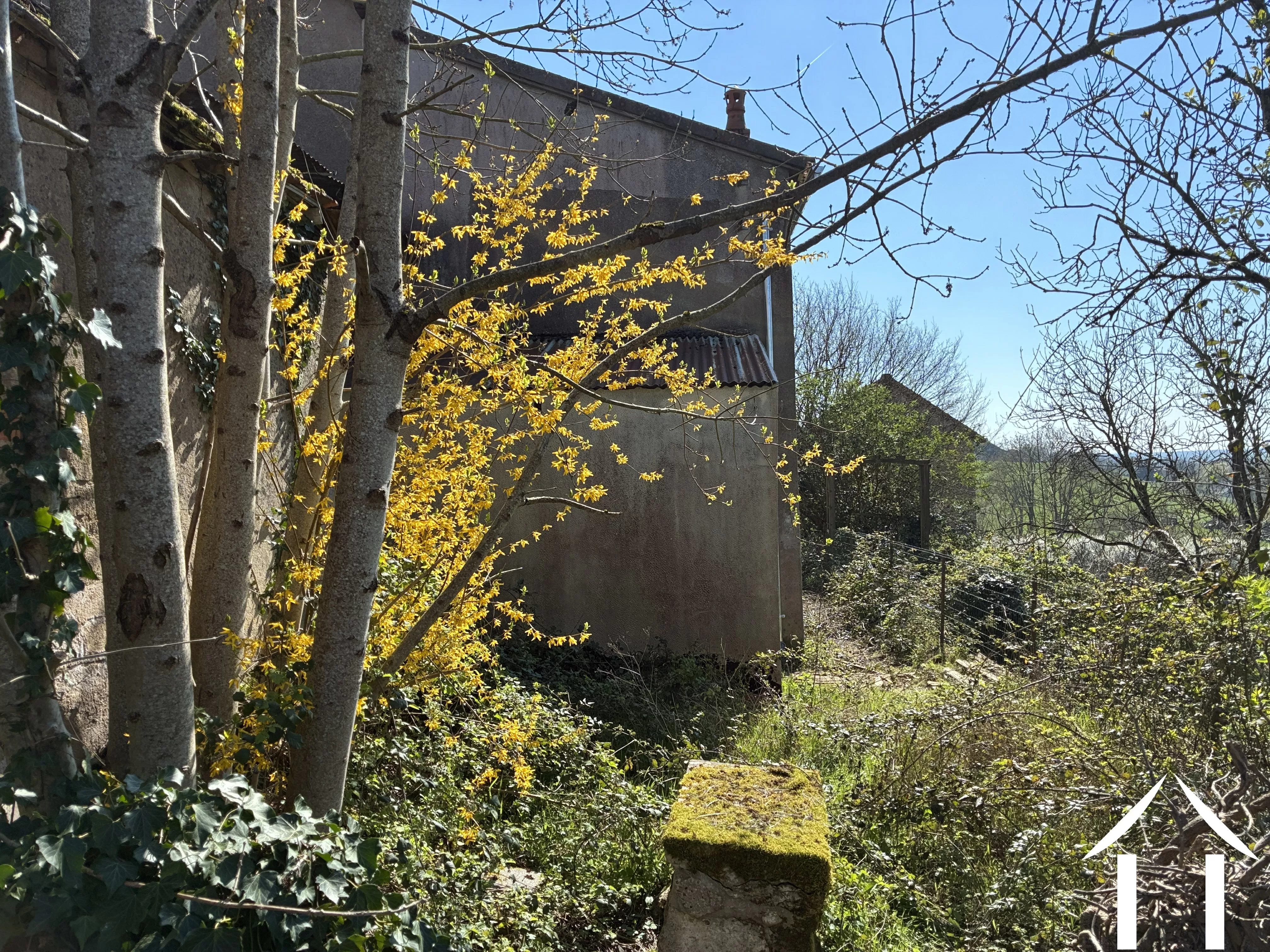 Maison à vendre mont et marre, bourgogne, cvh 5658 Image - 16