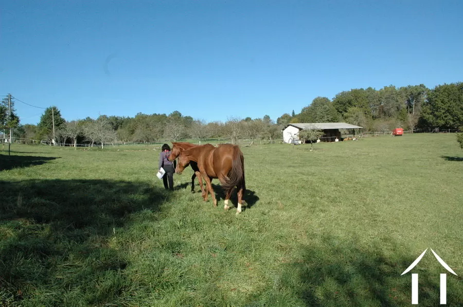 Fermette à vendre hautefort, aquitaine, GVS3344C Image - 8
