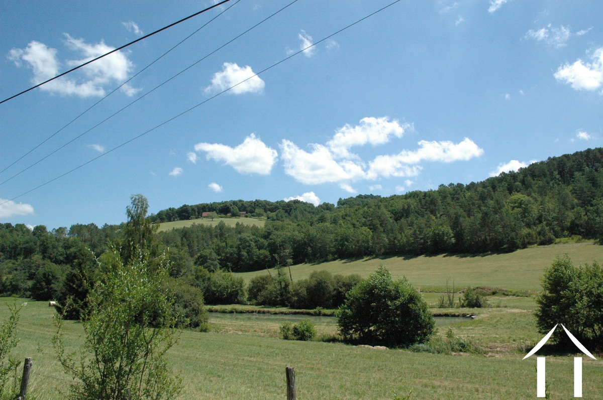 Propriété 1 hectare ++ à vendre montignac, aquitaine, GVS4850C Image - 15