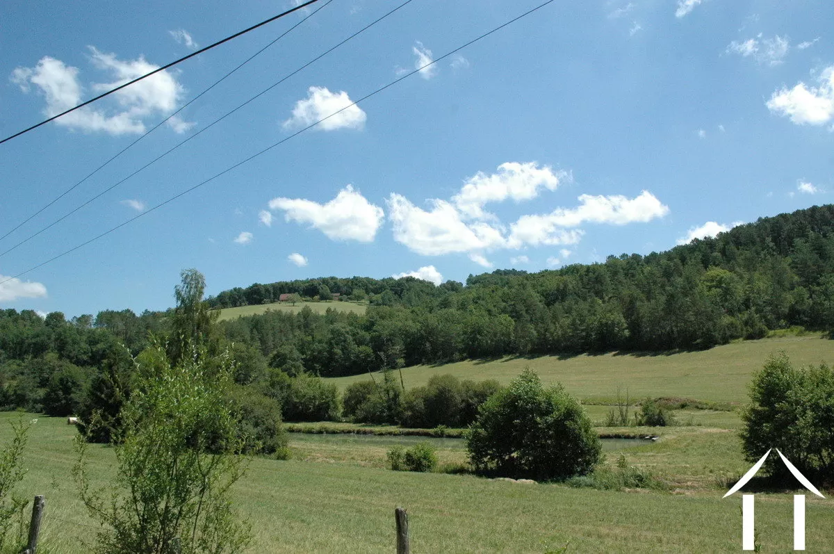 Propriété 1 hectare ++ à vendre montignac, aquitaine, GVS4850C Image - 15