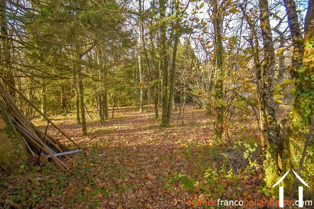 Maison de bourg à vendre linards, limousin, Li856 Image - 74