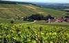 Vignoble chablisien, Milly