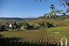 Vignoble de Bourgogne