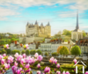 ZOOM REGIONAL image-4