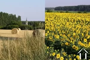 The property has been successfully rented to tourists for the last five years and is a good location for visiting the vineyards and châteaux for which the Loire Valley is famous.  A championship 18 hole golf course is 6kms down the road!