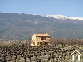 Uniek gelegen natuurstenen mazet aan voet Mont Ventoux