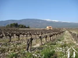 Cottage  à vendre bedoin, provence-alpes-côte d'azur, 2096 Image - 10