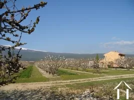 Cottage  à vendre bedoin, provence-alpes-côte d'azur, 2096 Image - 12