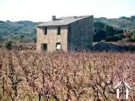 Maison à vendre fitou, languedoc-roussillon, AS110007FI Image - 2