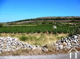 Maison à vendre fitou, languedoc-roussillon, AS110007FI Image - 3