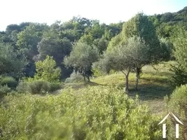 Vue depuis la maison
