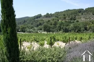 Chambre d’hôtes à vendre beaumes de venise, provence-alpes-côte d'azur, 11-2138 Image - 4