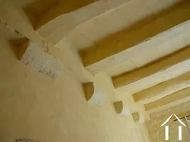 Ceiling detail