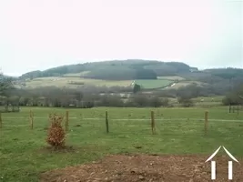 beautiful view