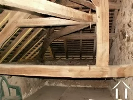 above the shed