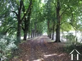 Allée