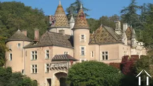 Château féérique dans le Sud de la Bourgogne